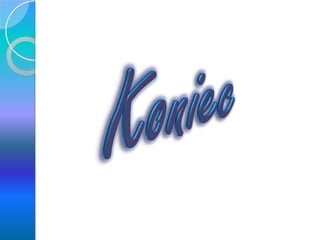 Piramida żywieniowa 2