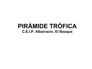 PIRÁMIDE TRÓFICA C.E.I.P. Albarracín, El Bosque 