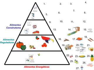 4.
                                          1.                    2.               3.

                                 Açúcar                                               7.
                                                               6.                                     8.
                                               5.
                               Óleo


                                                    9.          10.              11.                 12.
      Alimentos       Queijo

    Construtores
                                                         13.                14.                      15.
                                                                                                            Manteiga
                   Leite


                                                                                                      18.
  Alimentos                                                    16.                    17.
Reguladores
                                                                     19.                    20.             21.
                                                                                           Ervilha
                                                                                             Soja
                                                                                            Feijão



                                                                           22.             23.              24.
                            Arroz
                           Farinha                                               25.
                                                                                                     26.
                   Alimentos Energéticos
                                                                                            27.
 