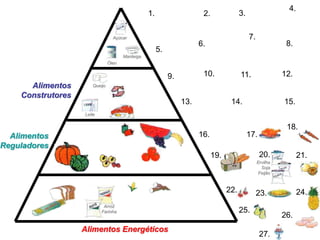 4.
                                                 1.                    2.               3.

                                 Açúcar                                                      7.
                                                                      6.                                     8.
                                                      5.
                                      Manteiga
                               Óleo


                                                           9.          10.              11.                 12.
      Alimentos       Queijo

    Construtores
                                                                13.                14.                      15.
                   Leite


                                                                                                             18.
  Alimentos                                                           16.                    17.
Reguladores
                                                                            19.                    20.             21.
                                                                                                  Ervilha
                                                                                                    Soja
                                                                                                   Feijão



                                                                                  22.             23.              24.
                            Arroz
                           Farinha                                                      25.
                                                                                                            26.
                   Alimentos Energéticos
                                                                                                   27.
 