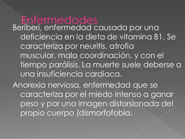 Piramide alimenticia Piramide alimenticia