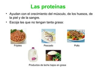 Las proteínas
• Ayudan con el crecimiento del músculo, de los huesos, de
la piel y de la sangre.
• Escoja las que no tengan tanta grasa:
Frijoles Pescado Pollo
Productos de leche bajos en grasa
 