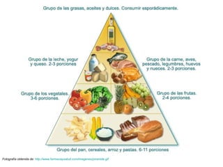 Fotografía obtenida de: http://www.farmaciaysalud.com/imagenes/piramide.gif
 