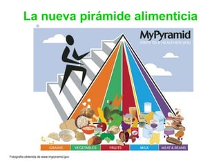 La nueva pirámide alimenticia
Fotografía obtenida de www.mypyramid.gov
 