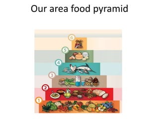 Our area food pyramid
 