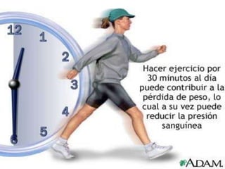 Piramide  nutricional