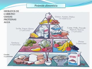 Pirámide alimenticia

HIDRATOS DE
CARBONO
GRASAS
PROTEINAS
AGUA




Cereales
2-4 porciones
 