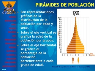 NZCH
NZCH
PIRÁMIDES DE POBLACIÓN
• Son representaciones
gráficas de la
distribución de la
población por edad y
sexo.
• Sobre el eje vertical se
grafica la edad de la
población por grupos.
• Sobre el eje horizontal
se grafica el
porcentaje de la
población
perteneciente a cada
grupo de edad. Pirámide de la población en México en el censo de 1990.
PORTADA
INTRODUCCIÓN
TAREA
PROCESO
RECURSOS
GUÍA
PRESENTACIÓN
ORGANIZADOR
ESQUEMA
ACTIVIDAD 1
ACTIVIDAD 2
EVALUACIÓN
CONCLUSIONES
AUTOEVALUACIÓN
 