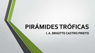 PIRÁMIDESTRÓFICAS
I. A. BRIGITTE CASTRO PRIETO
 