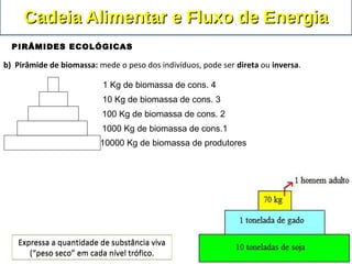 10000 Kg de biomassa de produtores
1000 Kg de biomassa de cons.1
100 Kg de biomassa de cons. 2
10 Kg de biomassa de cons. 3
1 Kg de biomassa de cons. 4
Expressa a quantidade de substância viva
(“peso seco” em cada nível trófico.
Expressa a quantidade de substância viva
(“peso seco” em cada nível trófico.
b) Pirâmide de biomassa: mede o peso dos indivíduos, pode ser direta ou inversa.
Cadeia Alimentar e Fluxo de EnergiaCadeia Alimentar e Fluxo de Energia
PIRÂMIDES ECOLÓGICAS
 