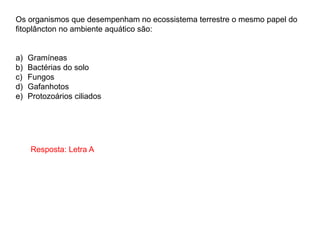 Resposta: Letra A
Os organismos que desempenham no ecossistema terrestre o mesmo papel do
fitoplâncton no ambiente aquático são:
a) Gramíneas
b) Bactérias do solo
c) Fungos
d) Gafanhotos
e) Protozoários ciliados
 