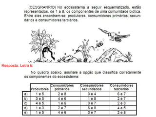 Resposta: Letra E
 