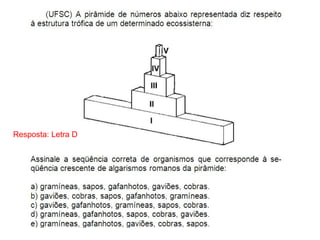 Resposta: Letra D
 