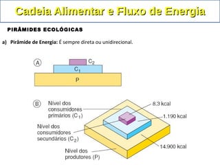 a) Pirâmide de Energia: É sempre direta ou unidirecional.
Cadeia Alimentar e Fluxo de EnergiaCadeia Alimentar e Fluxo de Energia
PIRÂMIDES ECOLÓGICAS
 