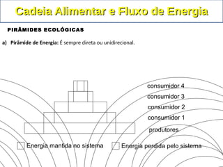 Energia mantida no sistema Energia perdida pelo sistema
produtores
consumidor 1
consumidor 2
consumidor 3
consumidor 4
a) Pirâmide de Energia: É sempre direta ou unidirecional.
Cadeia Alimentar e Fluxo de EnergiaCadeia Alimentar e Fluxo de Energia
PIRÂMIDES ECOLÓGICAS
 