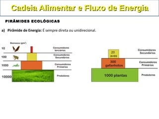 a) Pirâmide de Energia: É sempre direta ou unidirecional.
Cadeia Alimentar e Fluxo de EnergiaCadeia Alimentar e Fluxo de Energia
PIRÂMIDES ECOLÓGICAS
 