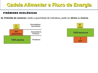 b) Pirâmide de números: mede a quantidade de indivíduos, pode ser direta ou inversa.
Cadeia Alimentar e Fluxo de EnergiaCadeia Alimentar e Fluxo de Energia
PIRÂMIDES ECOLÓGICAS
 