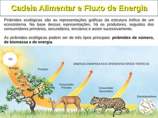 Cadeia Alimentar e Fluxo de EnergiaCadeia Alimentar e Fluxo de Energia
Pirâmides ecológicas são as representações gráficas da estrutura trófica de um
ecossistema. Na base dessas representações, há os produtores, seguidos dos
consumidores primários, secundários, terciários e assim sucessivamente.
As pirâmides ecológicas podem ser de três tipos principais: pirâmides de número,
de biomassa e de energia.
 