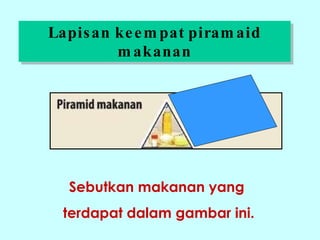 Lapisan keempat piramaid makanan Sebutkan makanan yang  terdapat dalam gambar ini. 