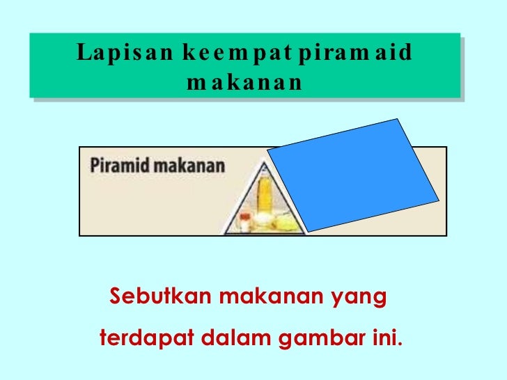 Piramid Makanan