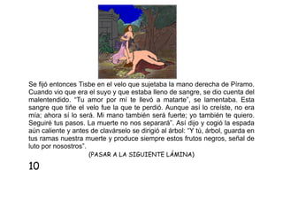 Se fijó entonces Tisbe en el velo que sujetaba la mano derecha de Píramo.
Cuando vio que era el suyo y que estaba lleno de sangre, se dio cuenta del
malentendido. “Tu amor por mí te llevó a matarte”, se lamentaba. Esta
sangre que tiñe el velo fue la que te perdió. Aunque así lo creíste, no era
mía; ahora sí lo será. Mi mano también será fuerte; yo también te quiero.
Seguiré tus pasos. La muerte no nos separará”. Así dijo y cogió la espada
aún caliente y antes de clavárselo se dirigió al árbol: “Y tú, árbol, guarda en
tus ramas nuestra muerte y produce siempre estos frutos negros, señal de
luto por nosostros”.
(PASAR A LA SIGUIENTE LÁMINA)

10

 