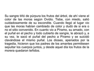 Su sangre tiñó de púrpura los frutos del árbol, de ahí viene el
color de las moras según Ovidio. Tisbe, con miedo, salió
cuidadosamente de su escondite. Cuando llegó al lugar vio
que las moras habían cambiado de color y dudó de si era o
no el sitio convenido. En cuanto vio a Píramo, su amado, con
el puñal en el pecho y todo cubierto de sangre, le abrazó y, a
su vez, le sacó el puñal del pecho a Píramo y se suicidó
clavándose el mismo puñal. Los dioses, apenados por la
tragedia, hicieron que los padres de los amantes permitiesen
sepultar los cuerpos juntos, y desde aquel día los frutos de la
morera quedaron teñidos.

 