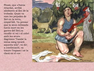 Píram, que s’havia
retardat, arribà
aleshores al lloc de la
trobada. Quan va
vore les petjades de
lleó en la terra,
empal·lidí. Va pensar
que la seua estimada
havia mort en les
garres del lleó,va
recollir el vel i el cobrí
amb les seues
llàgrimes:"També la
meua sang tacarà
aquesta tela”, va dir;
a continuació, va
traure l’espasa i se la
clavà en el cor.
 