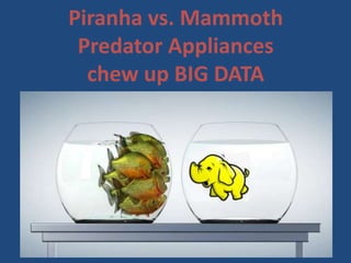 Piranha vs. Mammoth
 Predator Appliances
  chew up BIG DATA
 