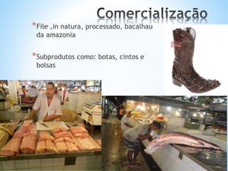 *File ,in natura, processado, bacalhau
da amazonia
*Subprodutos como: botas, cintos e
bolsas
 