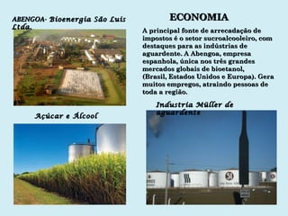 A principal fonte de arrecadação de impostos é o setor sucroalcooleiro, com destaques para as indústrias de aguardente. A Abengoa, empresa espanhola, única nos três grandes mercados globais de bioetanol, (Brasil, Estados Unidos e Europa). Gera muitos empregos, atraindo pessoas de  toda a região. ECONOMIA ABENGOA-  Bioenergia São Luis Ltda. Açúcar e Álcool Industria Müller de aguardente 