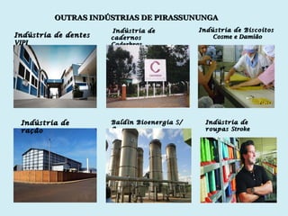 OUTRAS INDÚSTRIAS DE PIRASSUNUNGA Indústria de dentes  VIPI Indústria de ração Indústria de Biscoitos Cosme e Damião Indústria de roupas  Stroke Indústria de cadernos Caderbras Baldin Bioenergia S/A 