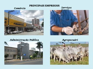 Comércio Serviços Gerais Administração Pública Agropecuária PRINCIPAIS EMPREGOS 