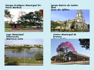 Parque Ecológico Municipal Dr. Décio Barbosa Igreja Matriz do Senhor Bom Jesus dos Aflitos Logo Municipal Temístocles Marrocos Leite Centro Municipal de Eventos Dona Belila 