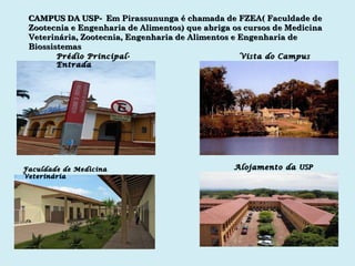 CAMPUS DA USP-  Em Pirassununga é chamada de FZEA( Faculdade de Zootecnia e Engenharia de Alimentos) que abriga os cursos de Medicina Veterinária, Zootecnia, Engenharia de Alimentos e Engenharia de Biossistemas Prédio Principal- Entrada Vista do Campus Faculdade de Medicina Veterinária Alojamento da  USP 