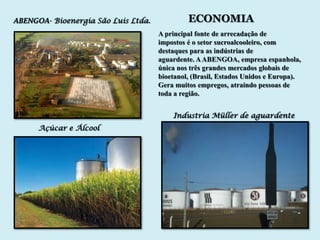 ABENGOA- Bioenergia São Luis Ltda.            ECONOMIA
                                     A principal fonte de arrecadação de
                                     impostos é o setor sucroalcooleiro, com
                                     destaques para as indústrias de
                                     aguardente. A ABENGOA, empresa espanhola,
                                     única nos três grandes mercados globais de
                                     bioetanol, (Brasil, Estados Unidos e Europa).
                                     Gera muitos empregos, atraindo pessoas de
                                     toda a região.


                                         Industria Müller de aguardente
      Açúcar e Álcool
 