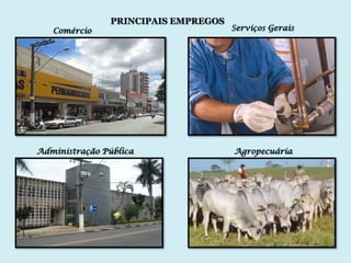 PRINCIPAIS EMPREGOS
   Comércio                           Serviços Gerais




Administração Pública                 Agropecuária
 