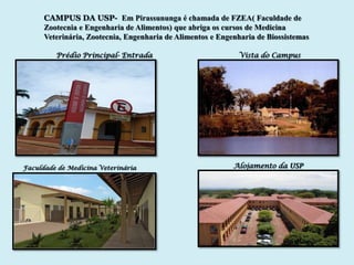 CAMPUS DA USP- Em Pirassununga é chamada de FZEA( Faculdade de
      Zootecnia e Engenharia de Alimentos) que abriga os cursos de Medicina
      Veterinária, Zootecnia, Engenharia de Alimentos e Engenharia de Biossistemas

         Prédio Principal- Entrada                           Vista do Campus




Faculdade de Medicina Veterinária                           Alojamento da USP
 