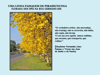 UMA LINDA PAISAGEM DE PIRASSUNUNGA
 FLORADA DOS IPÊS NA RUA GERMANO DIX




                               “O verdadeiro artista não mercadeja,
                               não transige, não se escraviza, não imita,
                               não copia, não inveja.
                               Vê em sua arte aquela síntese sublime,
                               que encanta, que transporta, que
                               redime.”

                               (ClaudionorFernandes Lima-
                               Poemas e Trovas nas Asas
                               do Sonho e da Poesia)
 