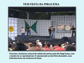TEM FESTA DA PIRACEMA




Piracema- Fenômeno natural de subida dos peixes pelo Rio Mogi Guaçu, com
o intuito de se reproduzirem. É comemorada no dia 08 de dezembro, com
belíssima festa em Cachoeira de Emas
 