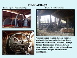 TEM CACHAÇA
Engenho Pequeno- Fazenda Guadalupe                 Engenho da família Schermann




                                         Pirassununga é conhecida pela superior
                                         qualidade das indústrias de aguardente,
                                         por isso é chamada de Cidade da Cachaça.
                                         Ao lado de modernas processadoras e
                                         engarrafadoras, oferece ao turista pingas
                                         especiais nos antigos e tradicionais
                                         alambiques.
 
