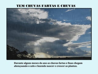 TEM CHUVAS FARTAS E CHUVAS
FINAS




Durante alguns meses do ano as chuvas fartas e finas chegam
abençoando o solo e fazendo nascer e crescer as plantas.
 