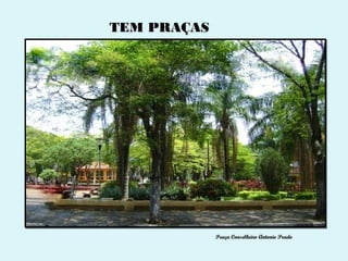 TEM PRAÇAS




             Praça Conselheiro Antonio Prado
 