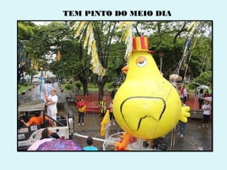 TEM PINTO DO MEIO DIA
 