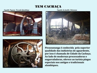 TEM CACHAÇA
Engenho Pequeno- Fazenda Guadalupe                 Engenho da família Schermann




                                         Pirassununga é conhecida pela superior
                                         qualidade das indústrias de aguardente,
                                         por isso é chamada de Cidade da Cachaça.
                                         Ao lado de modernas processadoras e
                                         engarrafadoras, oferece ao turista pingas
                                         especiais nos antigos e tradicionais
                                         alambiques.
 