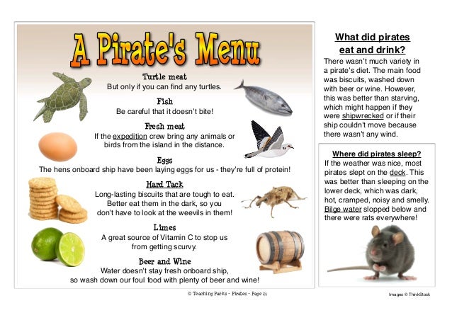 Land Animals And The Food They Eat Land Animals And The Food They Eat
