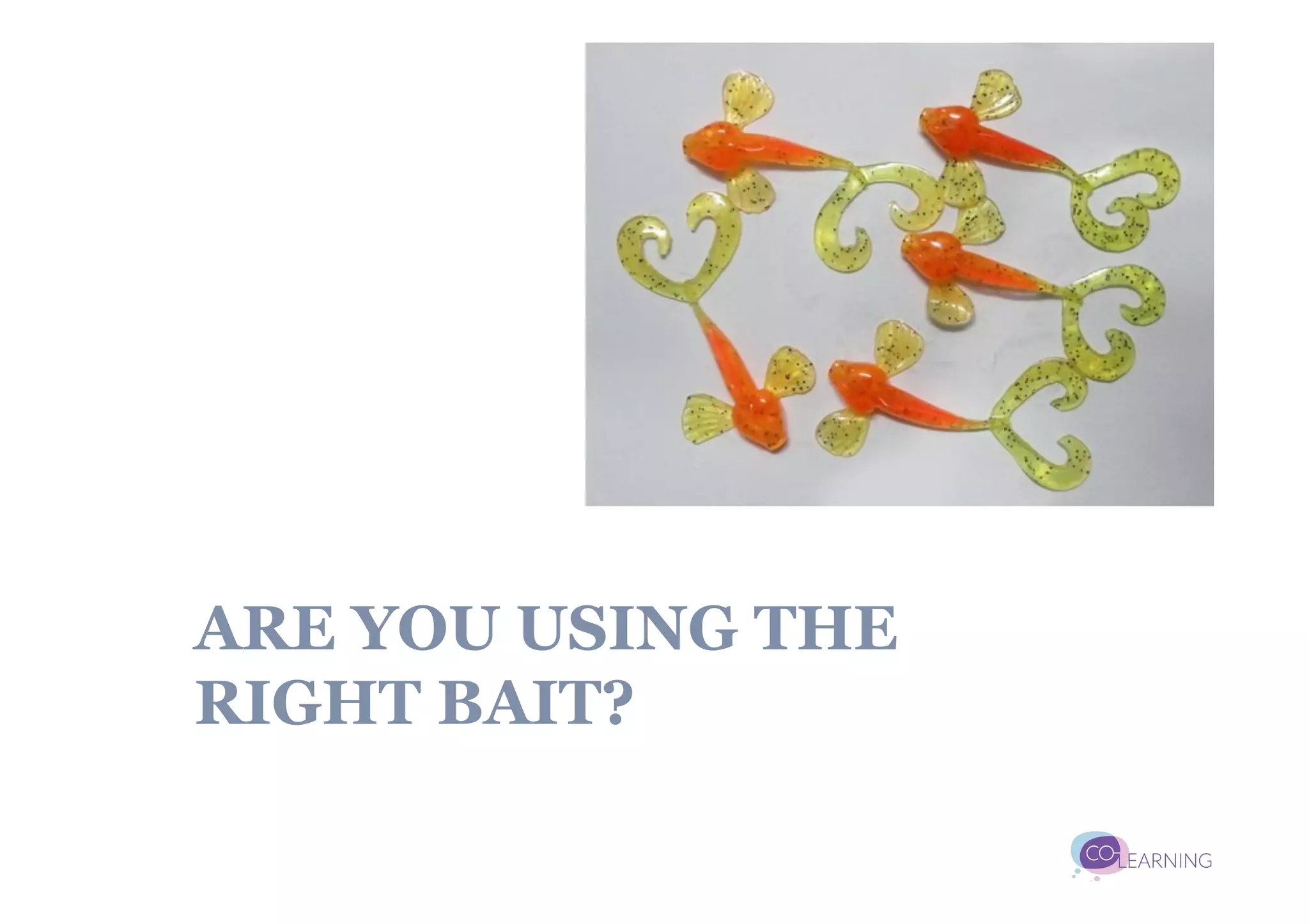 ARE YOU USING THE
RIGHT BAIT?
 