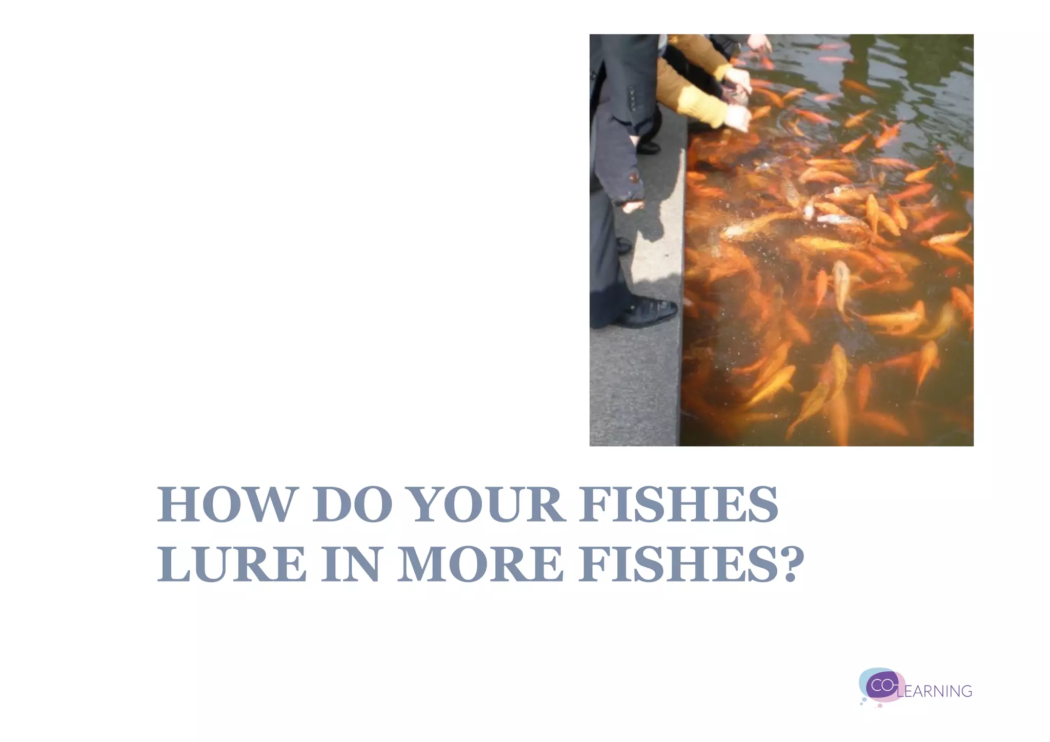 HOW DO YOUR FISHES
LURE IN MORE FISHES?
 