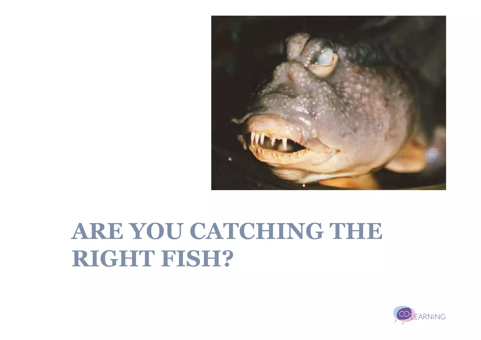 ARE YOU CATCHING THE
RIGHT FISH?
 