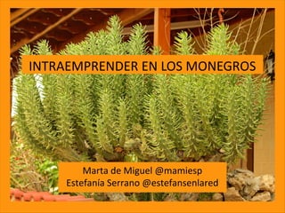 INTRAEMPRENDER EN LOS MONEGROS

Marta de Miguel @mamiesp
Estefanía Serrano @estefansenlared

 