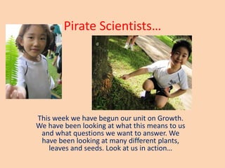 Pirate Scientists…
This week we have begun our unit on Growth.
We have been looking at what this means to us
and what questions we want to answer. We
have been looking at many different plants,
leaves and seeds. Look at us in action…
 